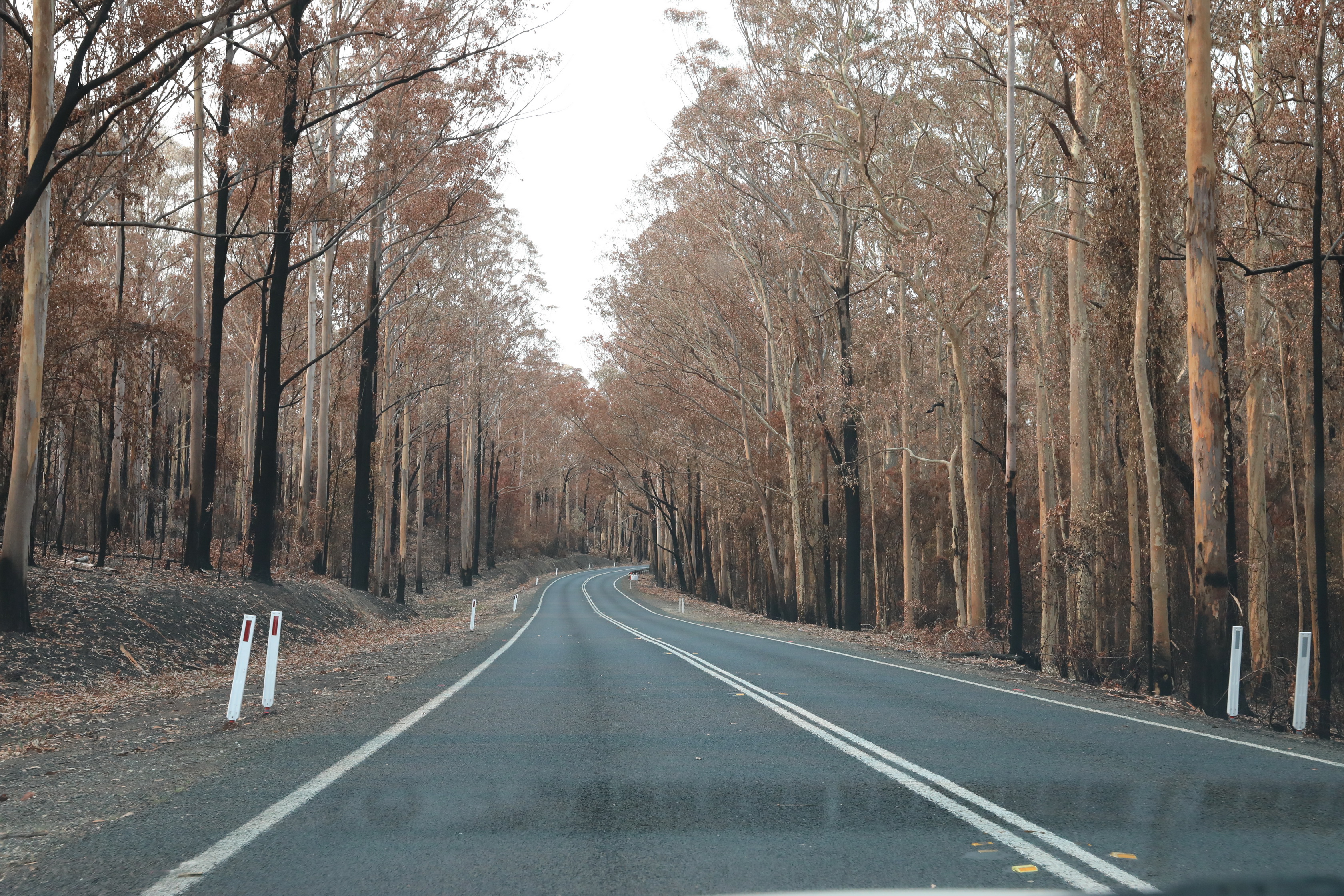 Murramarang-Nationalpark am Princes Highway